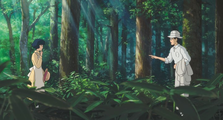 21052672_20131024170235358