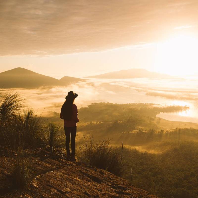 Tarzaan – Stars & Stripes