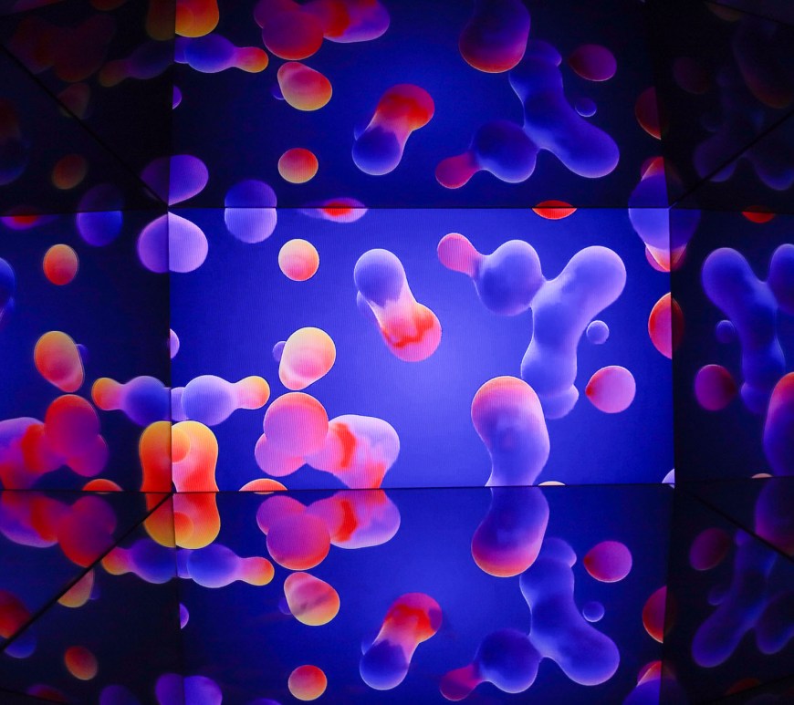 Musée de l'illusion