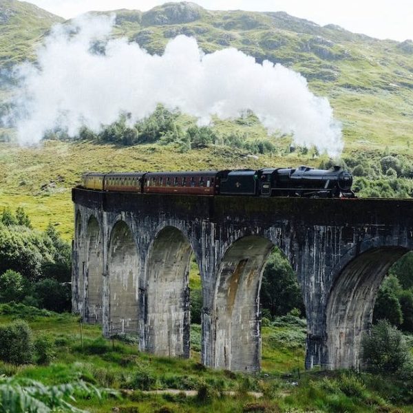 Will Camos – What a Ride!