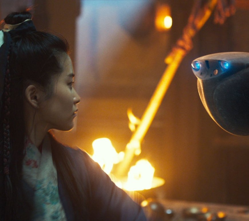 Copyright Condor Distribution