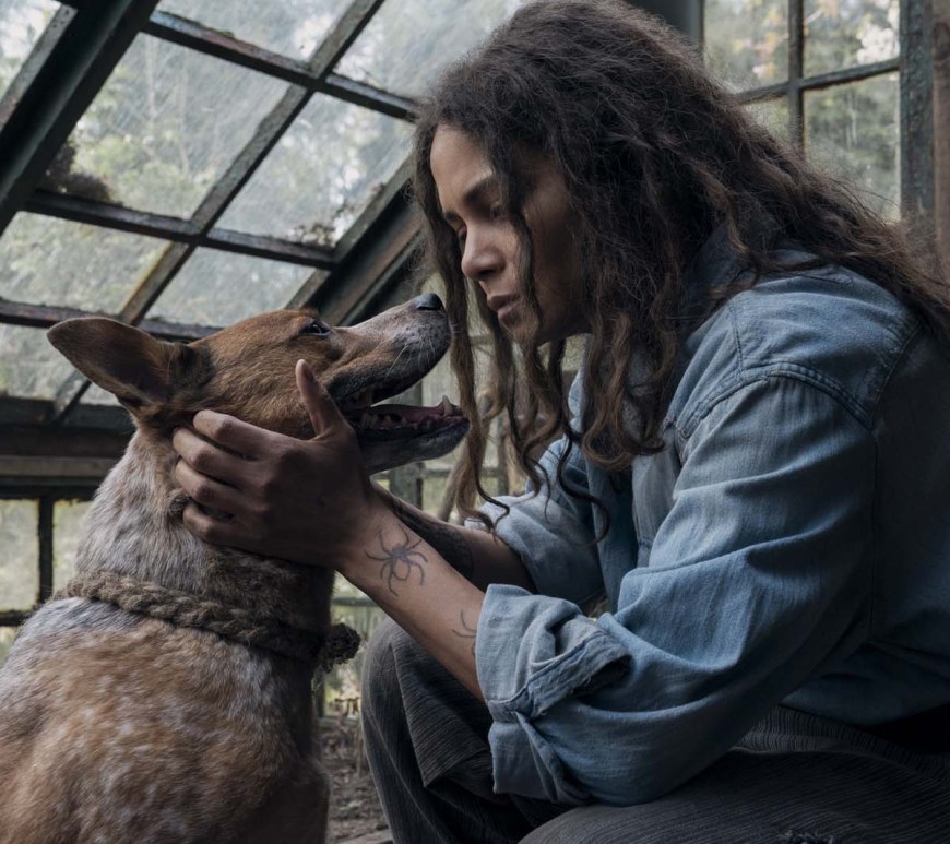 Mother Land Halle Berry