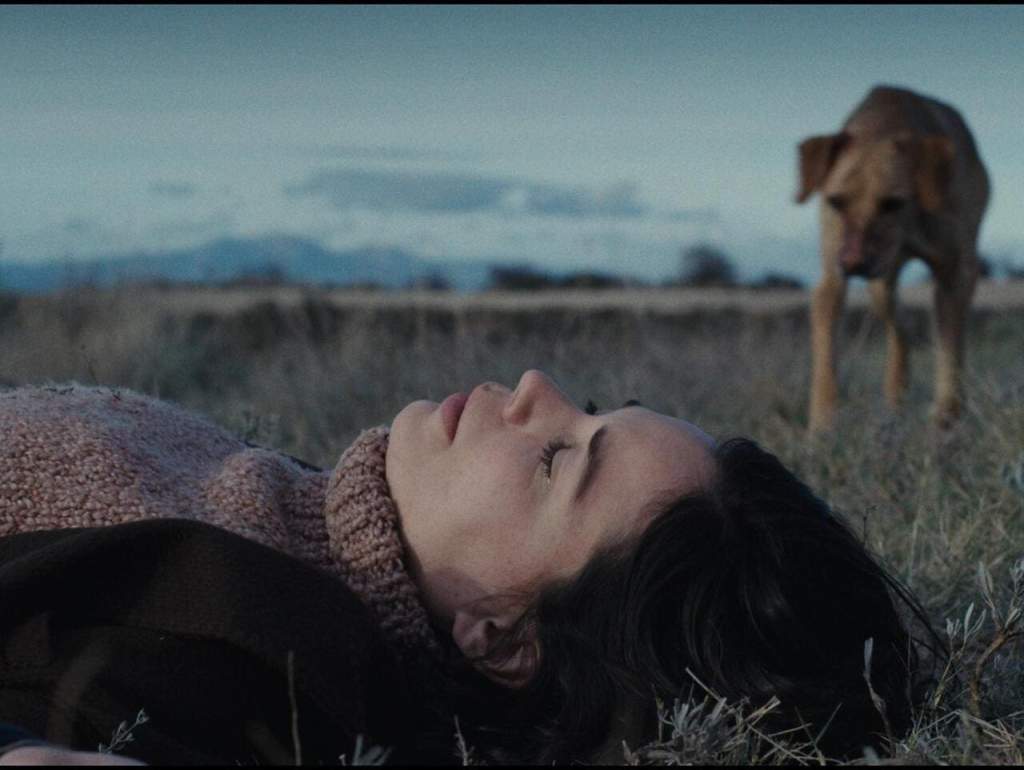 Un amor film © Arizona Distribution