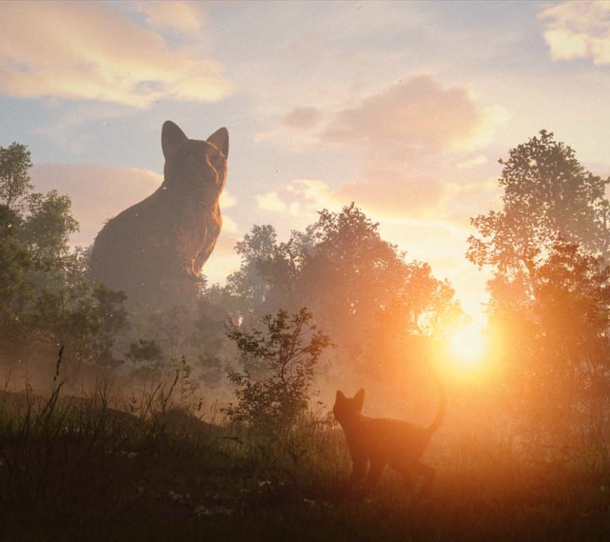 UFO Distribution © FLOW