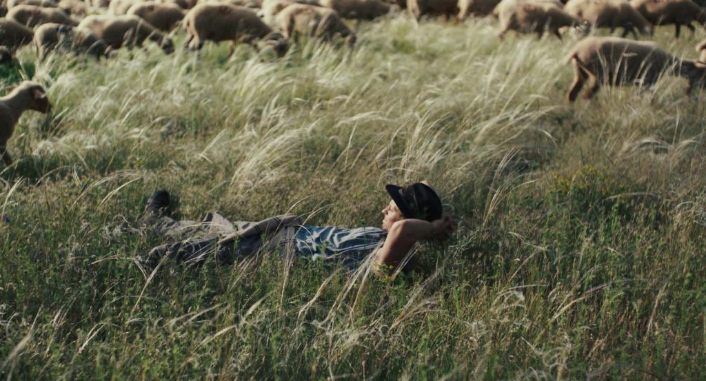 Bergers © Pyramide Distribution