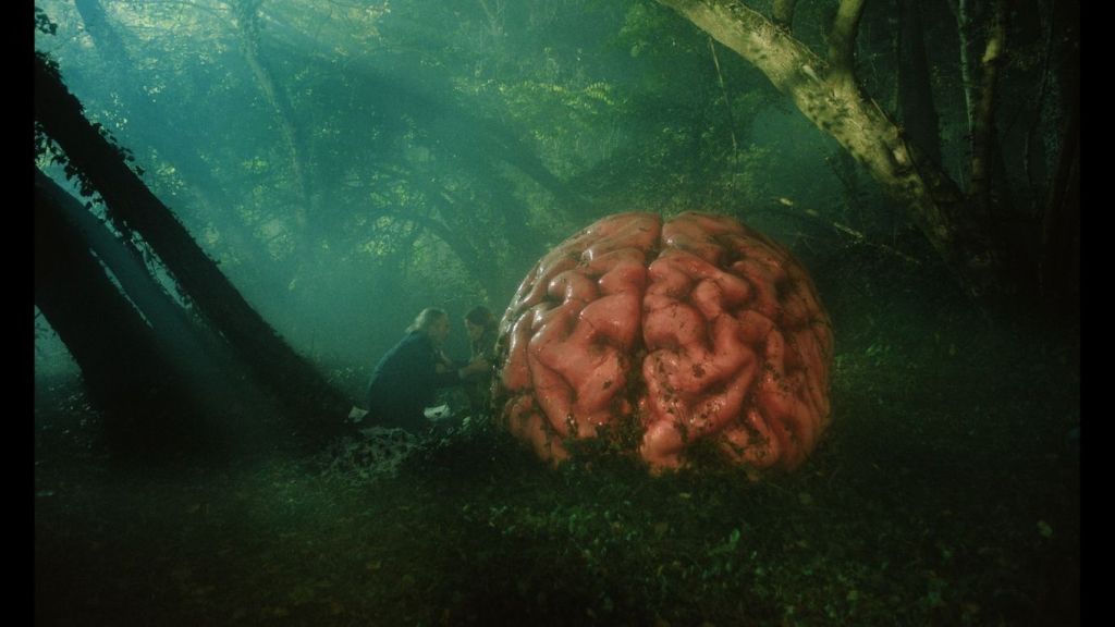 Rumours, nuit blanche au sommet © Rumours 2024