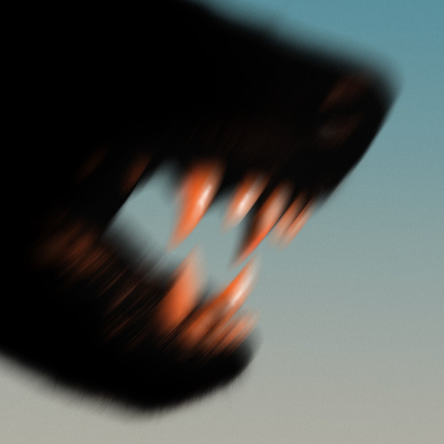 Checco Curci – Non si torna indietro