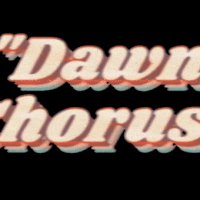 Driven Snow – Dawn Chorus