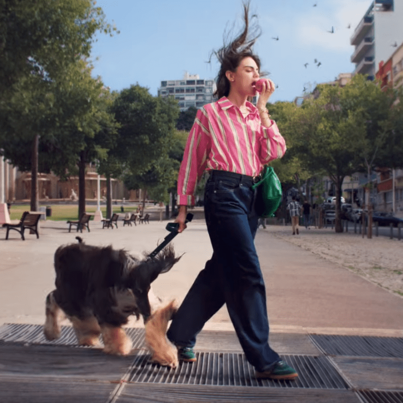Musique pub Pink Lady 2026 avec un Lévrier Afghan