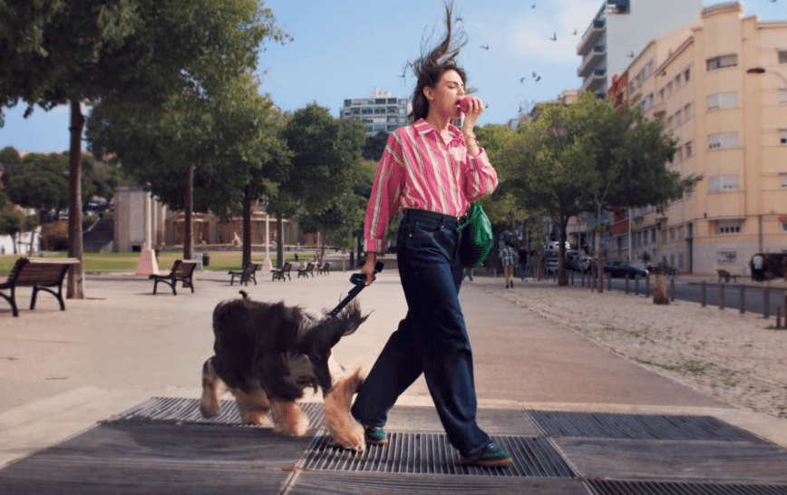 Musique pub Pink Lady 2026 avec un Lévrier Afghan