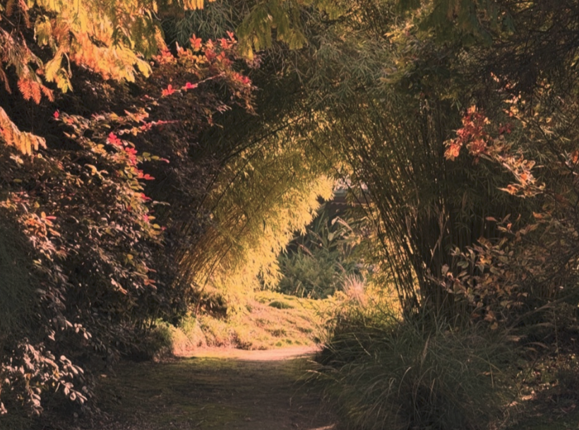 Sorry! Image not available at this time