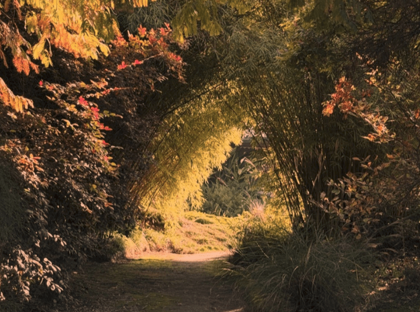 Specific Coast – Lonely