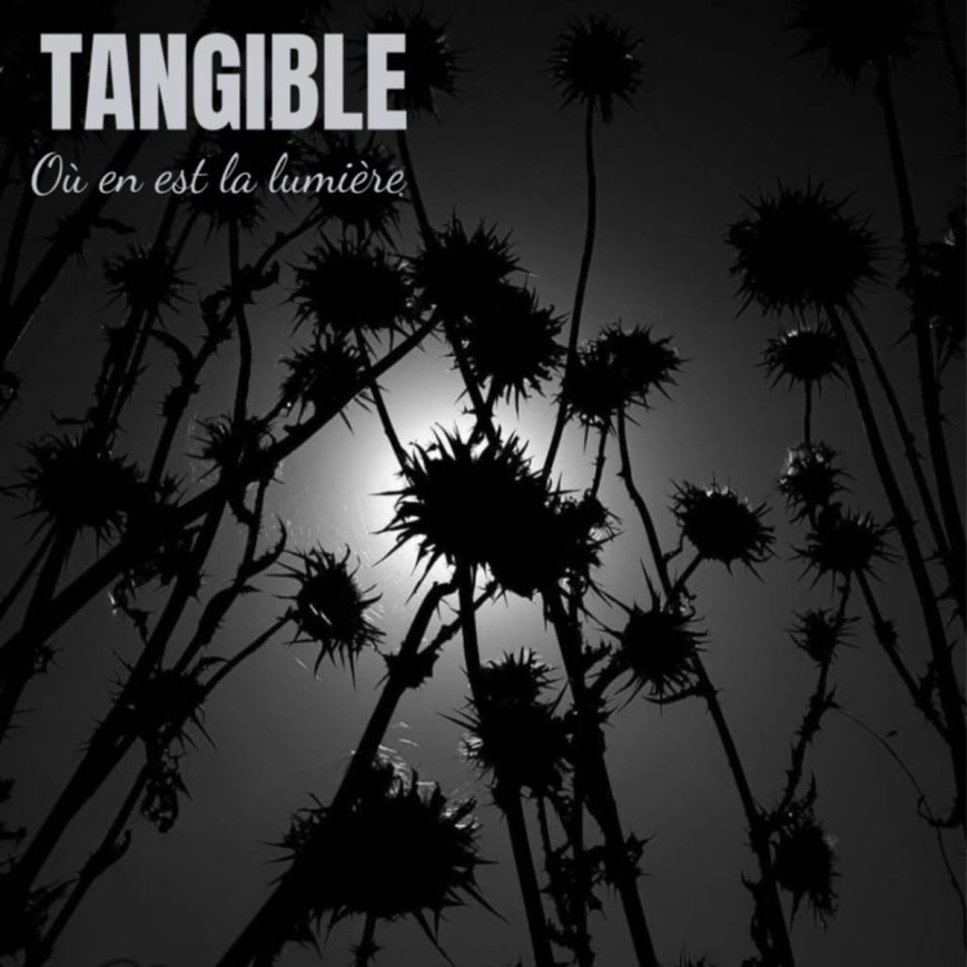 Tangible – Les déserteurs